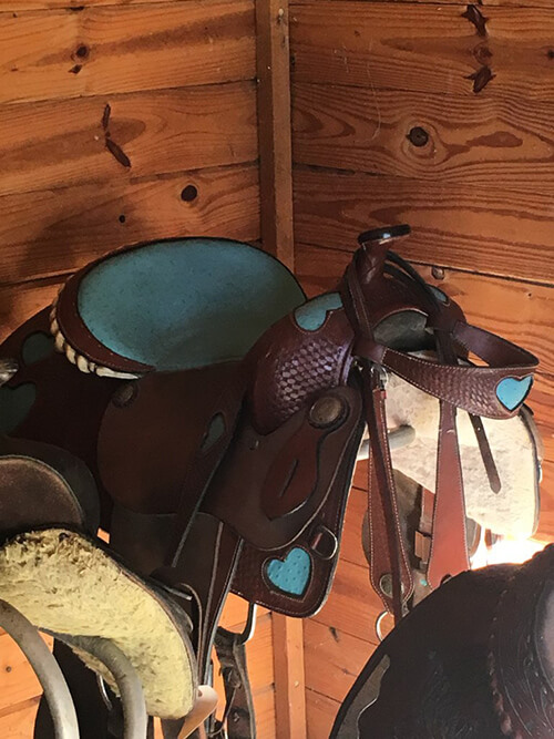 learn about Foothills at Red Oak Recovery and our equine therapy